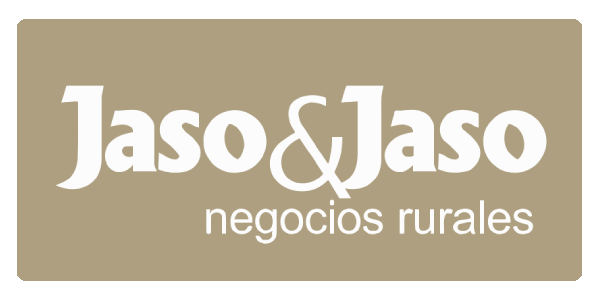 Jaso y Jaso